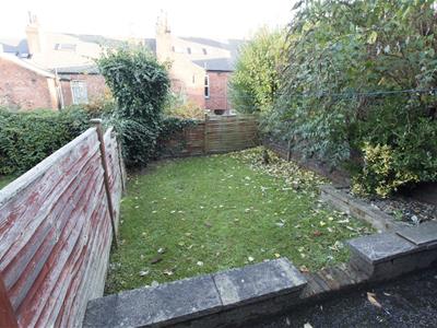 Picture 15